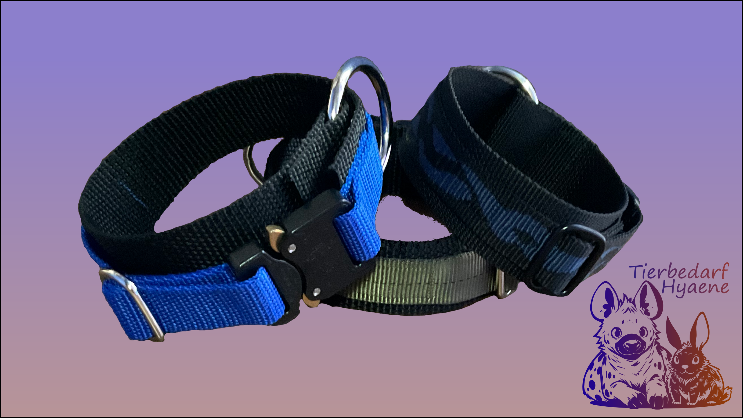 robustes hundehalsband 4cm breit mit einer cobra schnalle von austrialpin in verschiedenen größen, farben und einer weichen polsterung