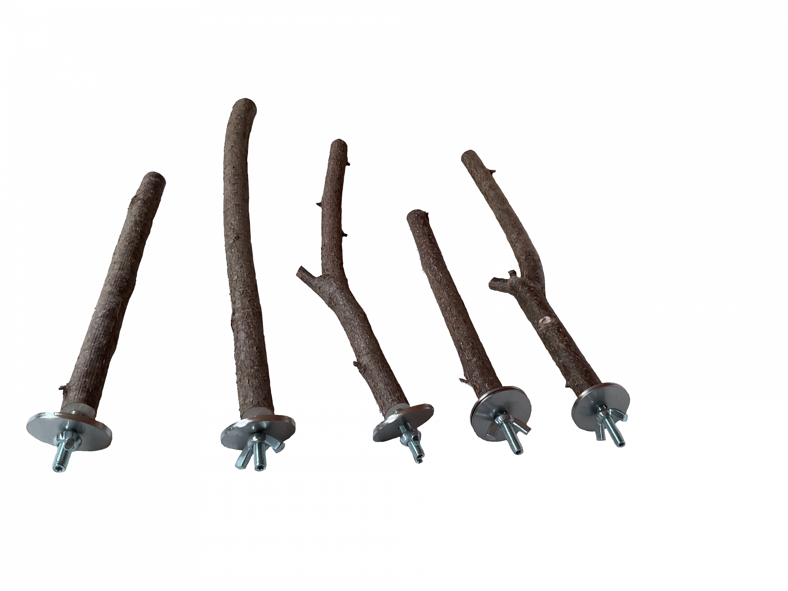vogelstangen trans