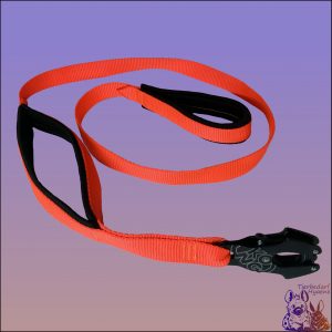 Taktische Nylon Hundeleine mit einem Kong Frog Karabiner und einer Kurzhalteschlaufe