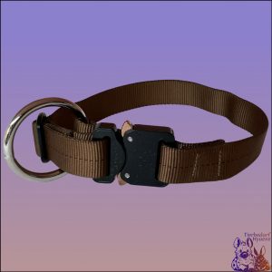 Robustes Nylon Hundehalsband 2,5cm breit in verschiedenen Größen und Farben mit einer Cobra Schnalle.